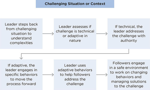 Figure 11.2: The Adaptive Leadership Process