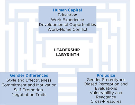 Figure 14.1: Understanding the Leadership Labyrinth