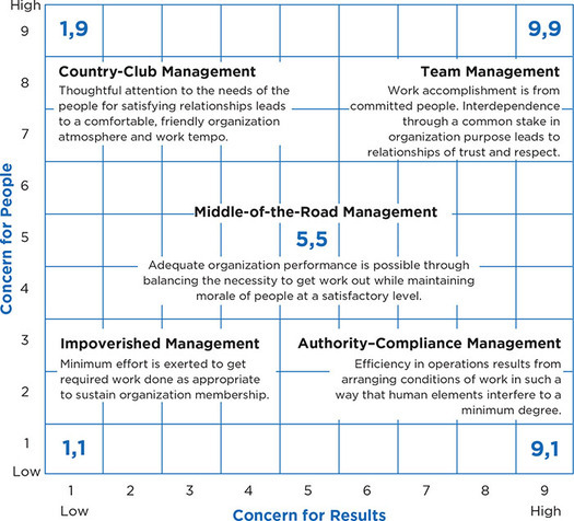 Figure 4.1: The Leadership Grid